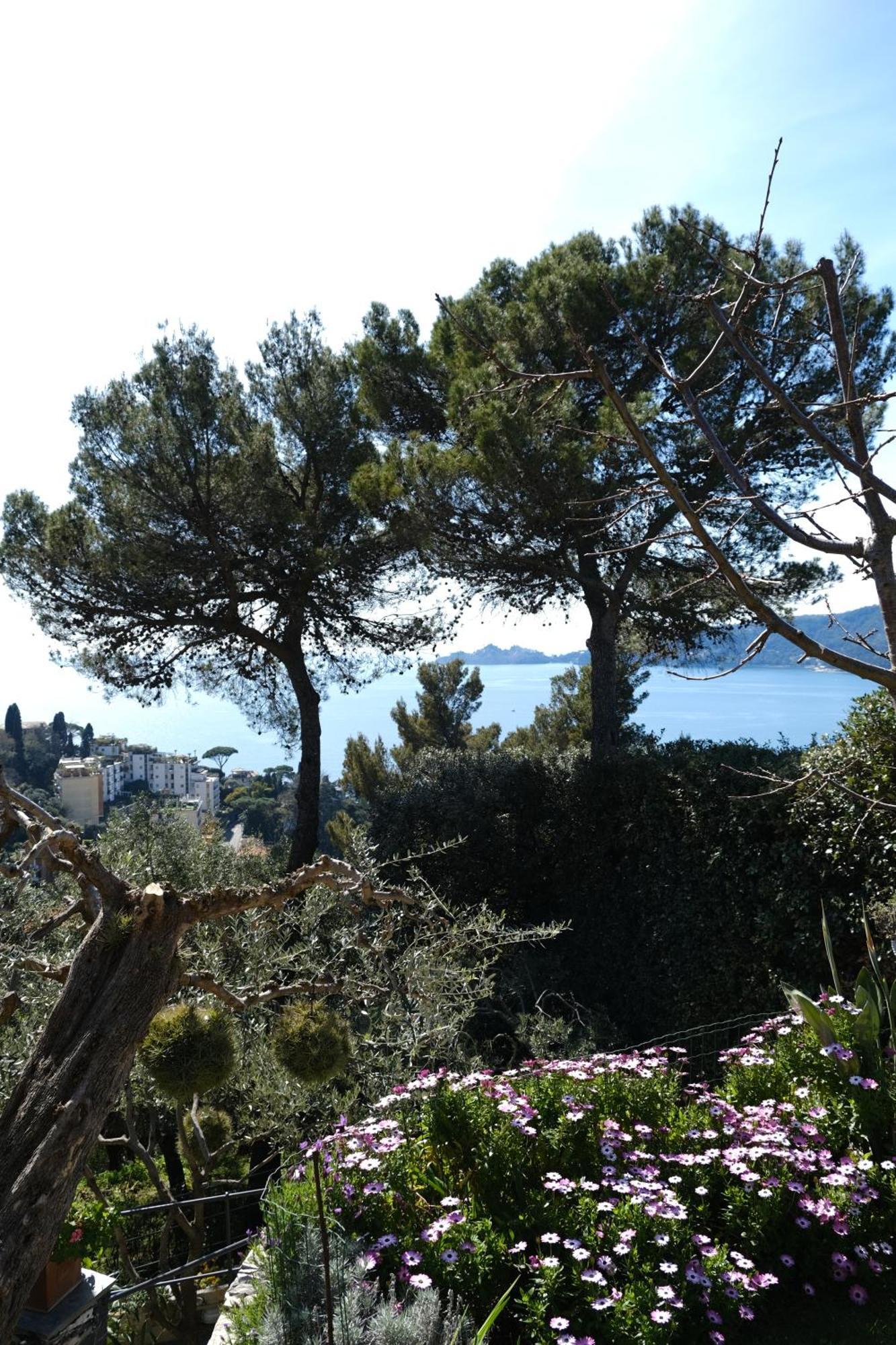 L'Alcova Tra Gli Ulivi By Portofinovacanze Zoagli Extérieur photo