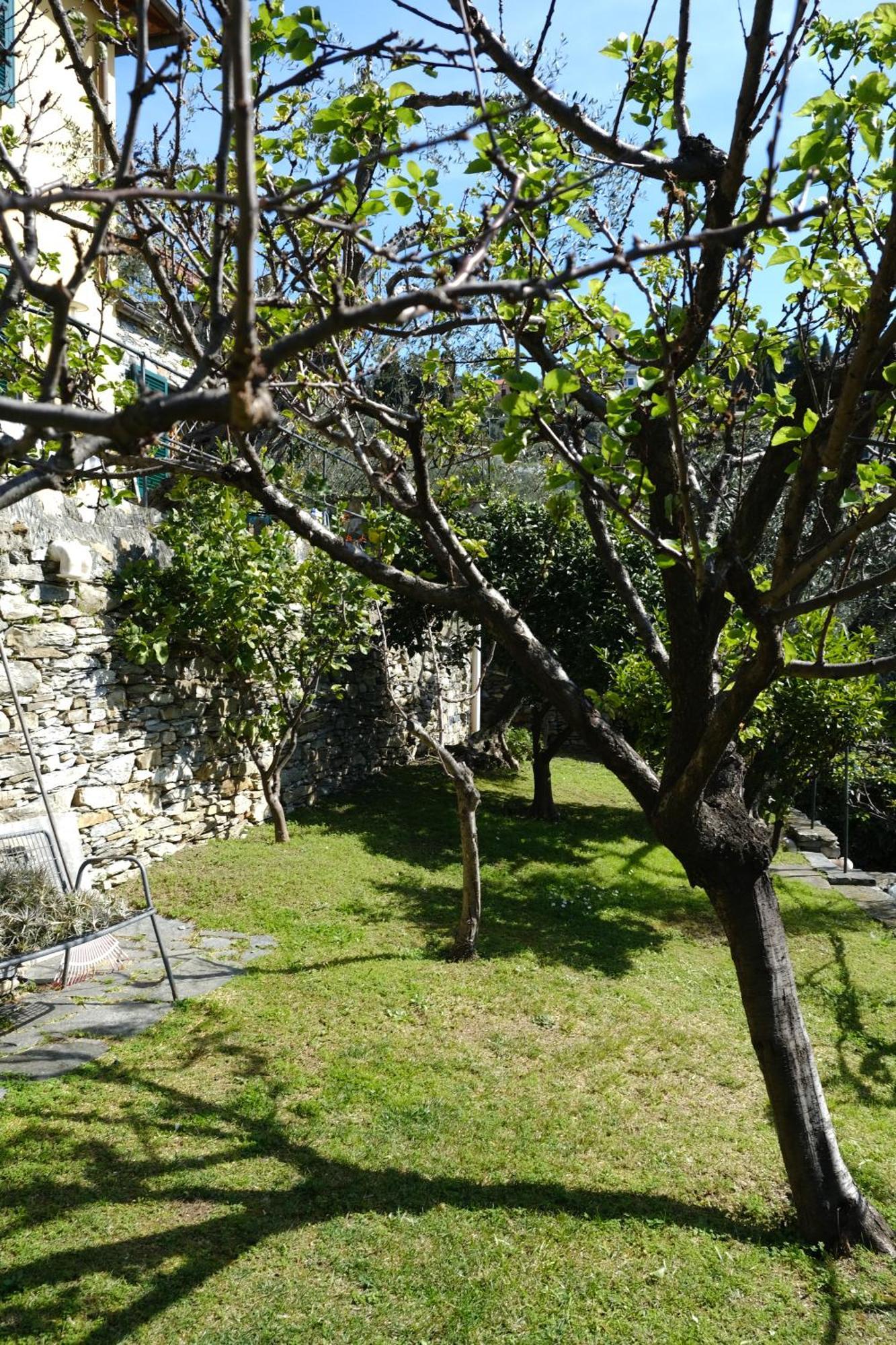 L'Alcova Tra Gli Ulivi By Portofinovacanze Zoagli Extérieur photo