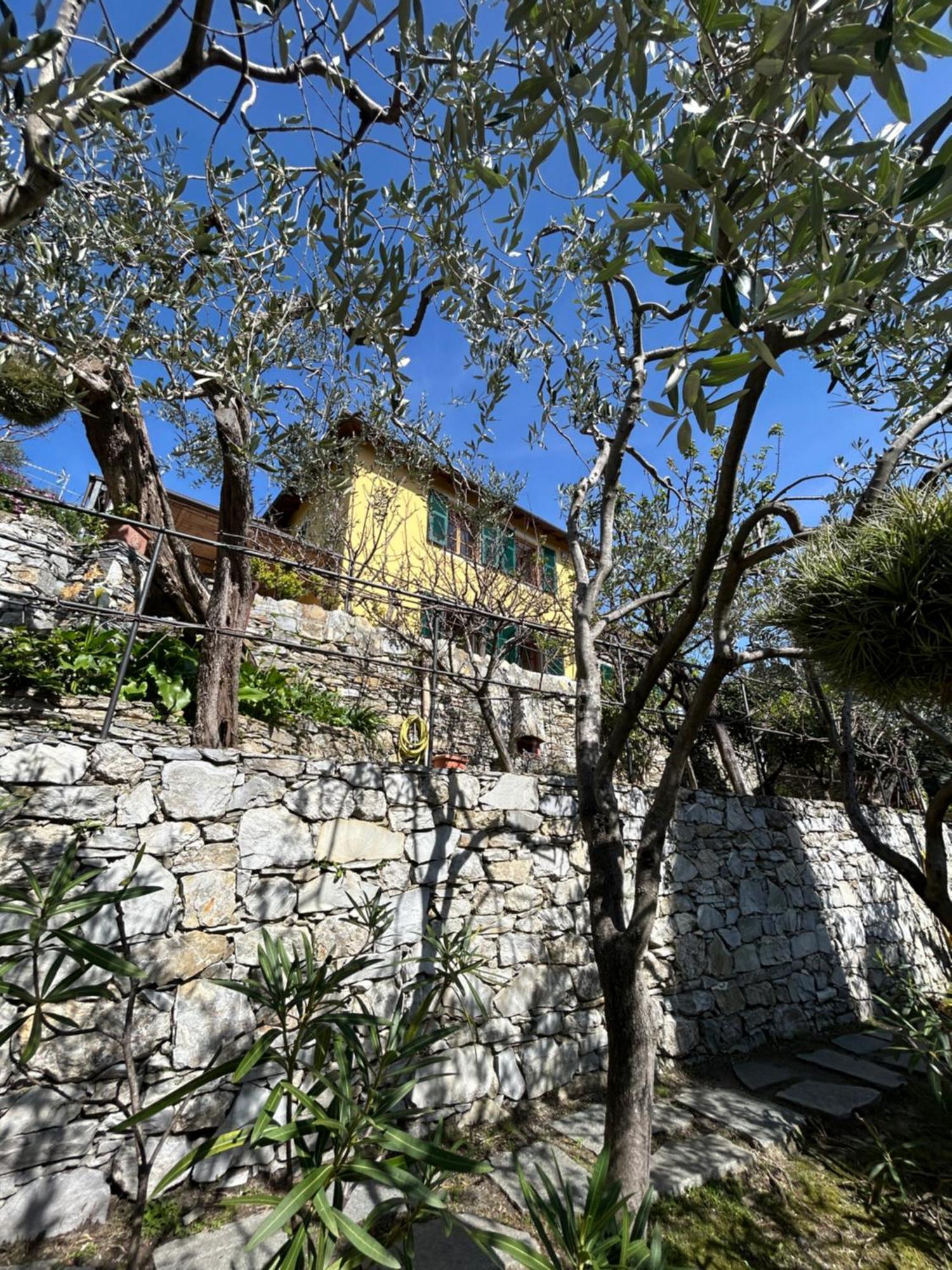 L'Alcova Tra Gli Ulivi By Portofinovacanze Zoagli Extérieur photo