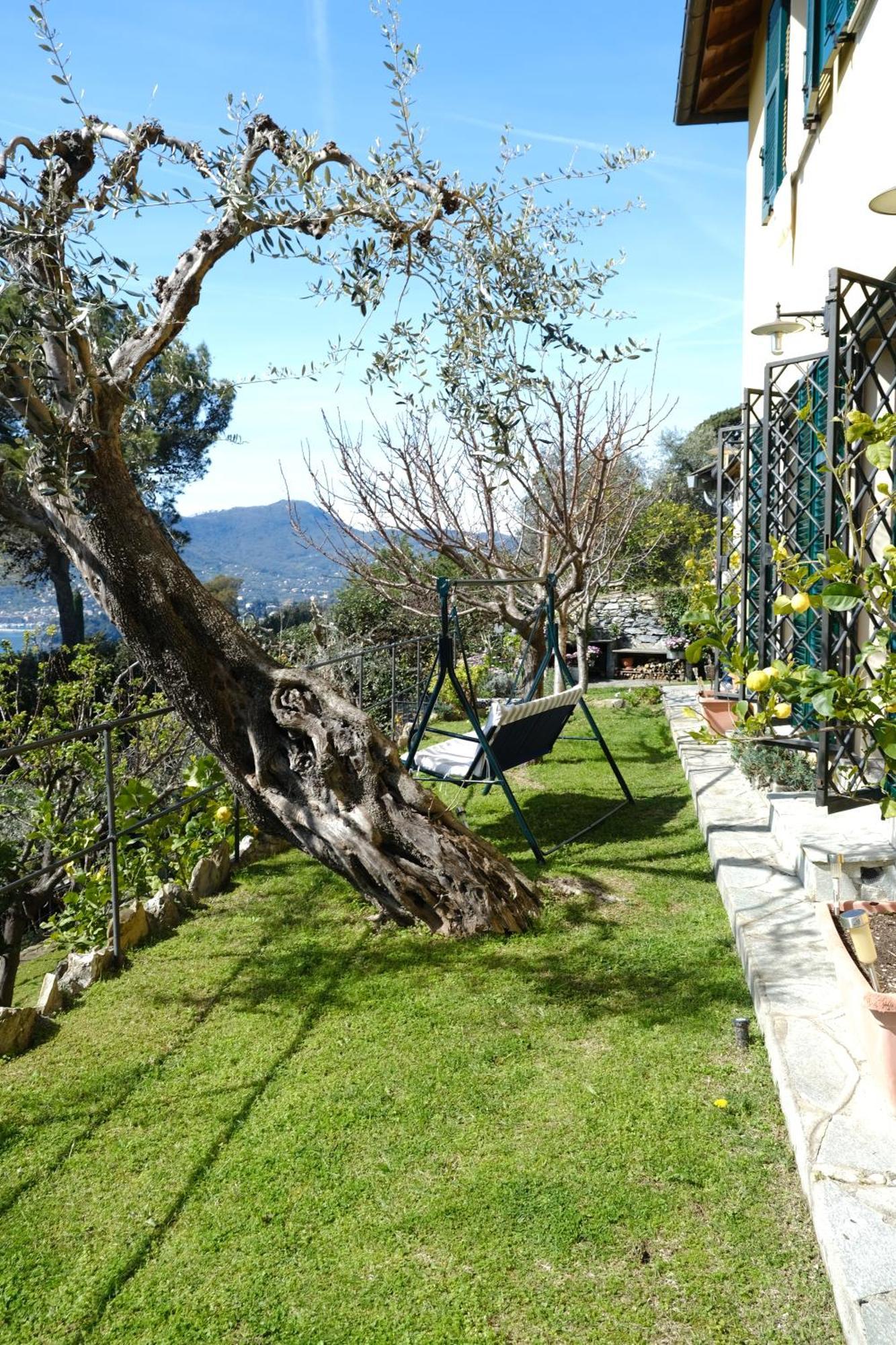 L'Alcova Tra Gli Ulivi By Portofinovacanze Zoagli Extérieur photo